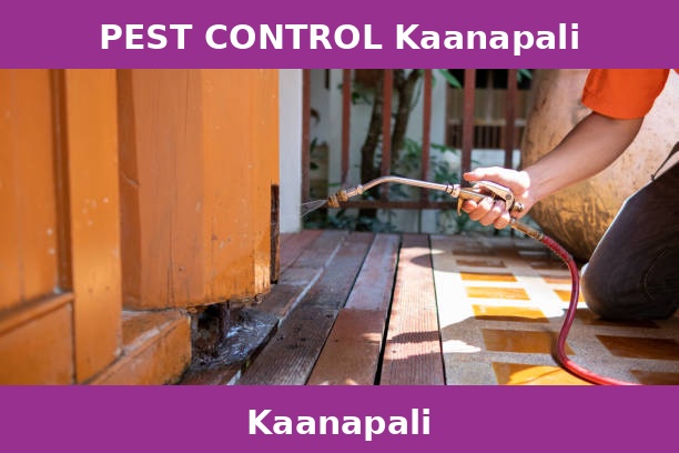 PEST CONTROL Kaanapali